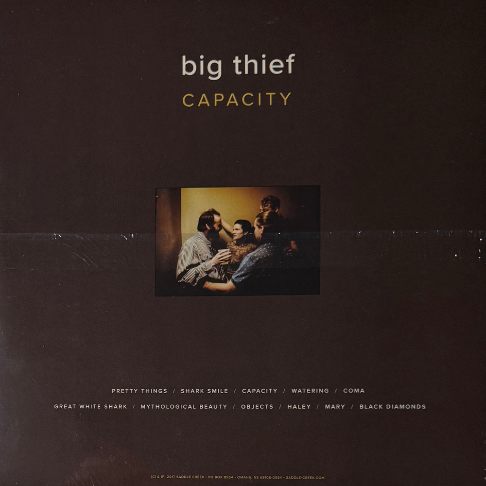 Big Thief ‎– Capacity (США 2017г.)