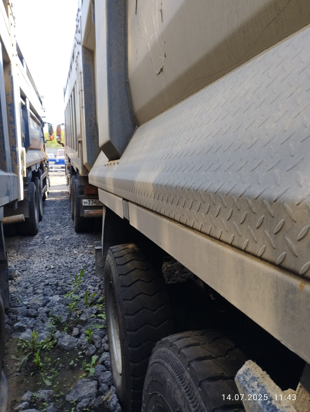 Shacman (Shaanxi) SX* 8x4 Самосвал SX331863366 (Дизельный, 12,5 л, 544 л.с., МТ)