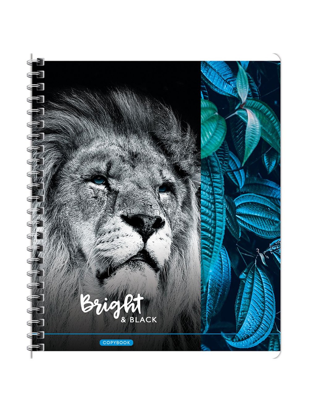 Набор тетрадей 2 штуки, 80л., А5, клетка на гребне Животные (Т80спкГЛ_26757)