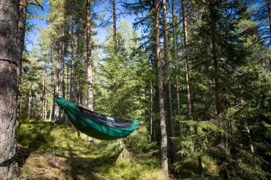 Гамак одноместный с москитной сеткой Ticket to the Moon Pro Hammock