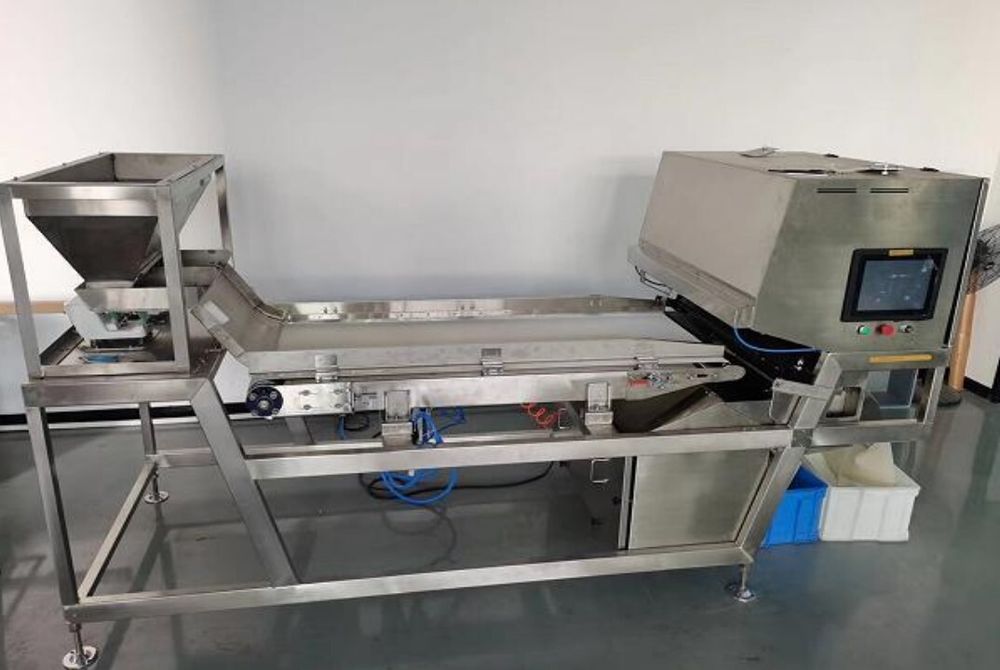 Фотосепаратор горизонтальный ленточный DPLDS600