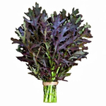 Капуста японская Мизуна Ред 3,5гр