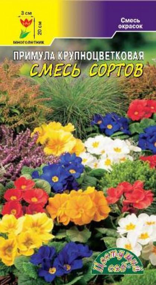 Петуния лимбо семена. Примула бесстебельная крупноцветковая f1 смесь сортов. Петуния лимбо смесь семена алтая. Крупноцветковая смесь. Петуния крупноцветковая смесь.