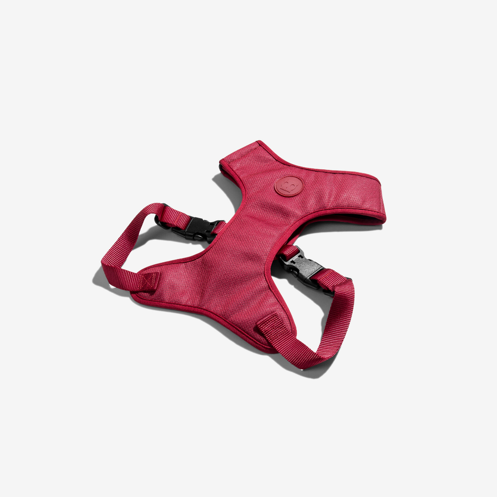 Шлейка Air Mesh BORDEAU Zee.Dog