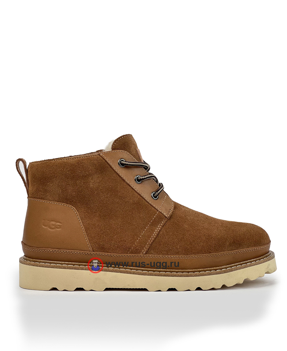 NEUMEL GENTLEMAN Chestnut