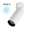 Светодиодный спот Citilux Тубус CL01B180N