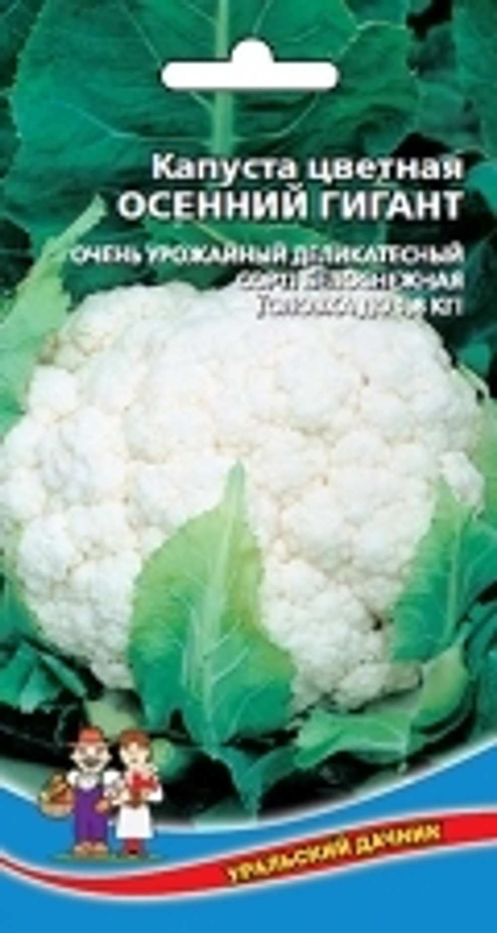 Капуста цв. Осенний гигант Уральский дачник