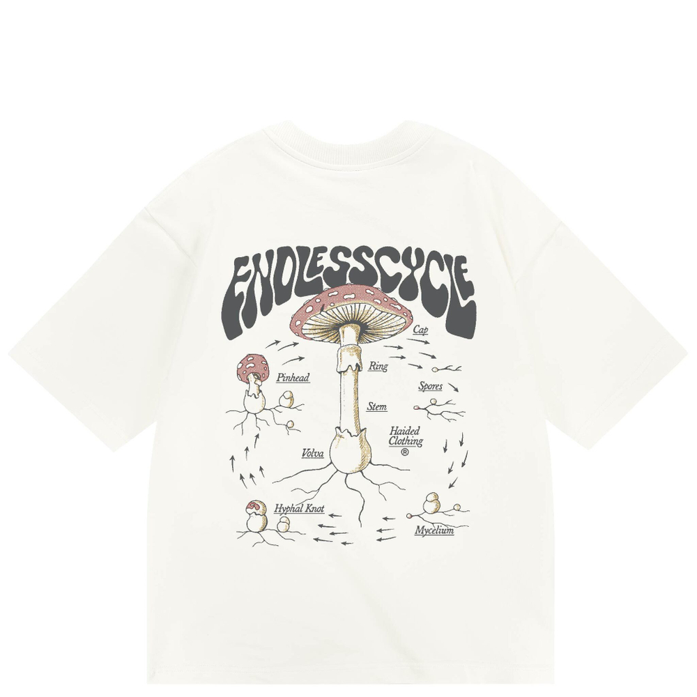 Футболка Haided ENDLESS CYCLE RLXD HW TEE ecru