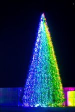 Уличная Гирлянда RGB "Хамелеон" для елок от 4 до 30 м