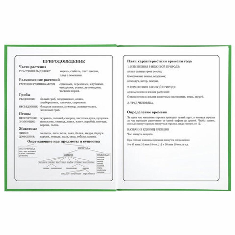 Дневник 1-4 класс 48 л., твердый, BRAUBERG, глянцевая ламинация, с подсказом, "Авокадики", 106359
