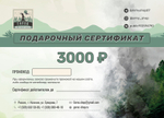 Подарочный сертификат на 3000 рублей