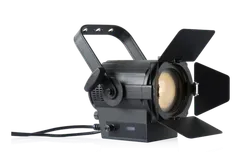 EFRESNEL WW 100 прожектор с линзой френеля, 38Вт