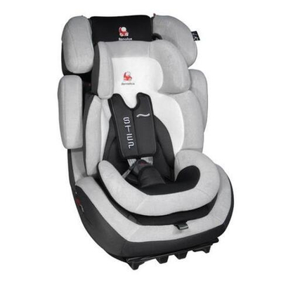 Детское автокресло Renolux Step гр. 1/2/3 (Серый)