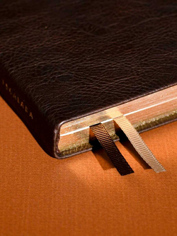 d0840323_b7b6_11ef_ba9b_d05099d5d12d_79d3a9a0_89a1_11f0_bab7_d05099d5d12d