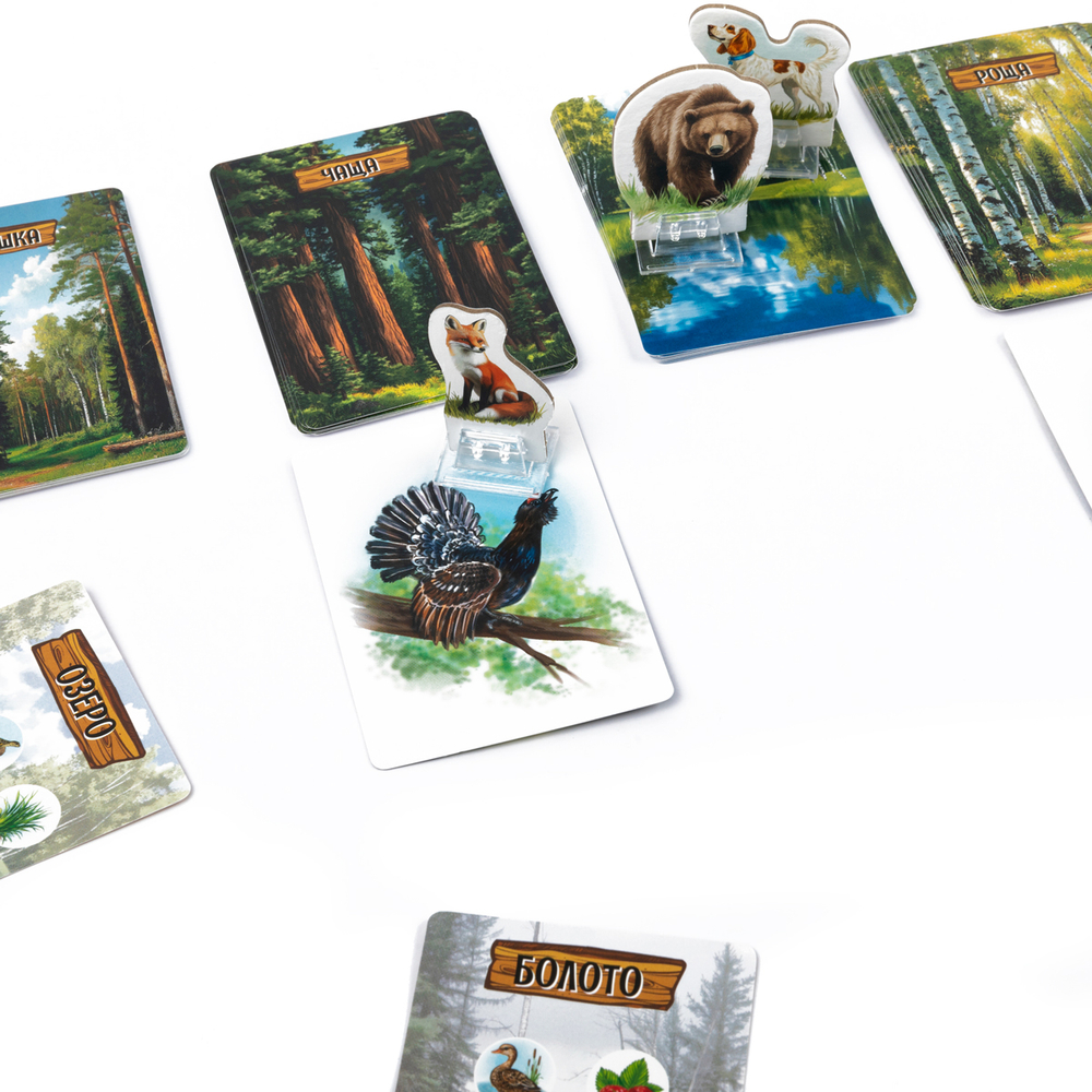 Лесные истории