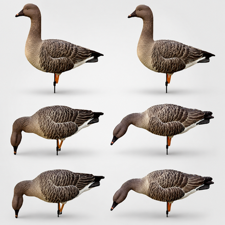 Гусь гуменник Duck Mania "ELITE"