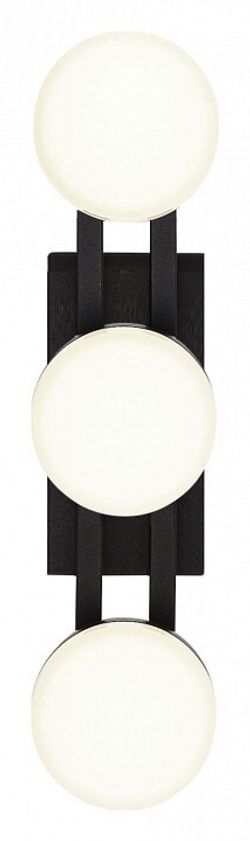 Накладной светильник ST-Luce MONRO SL6610.401.03