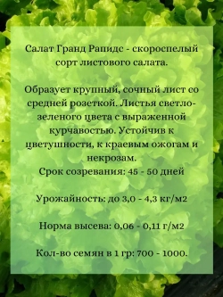 Семена Салат "Гранд Рапидс" 10 грамм