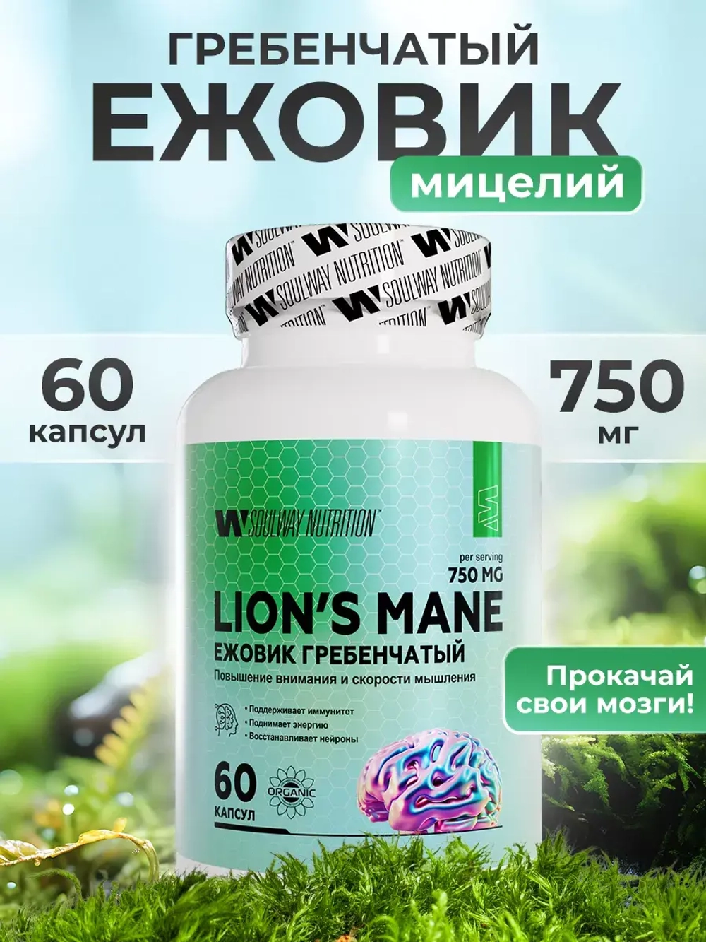 Ежовик Гребенчатый Мицелий 60 капсул