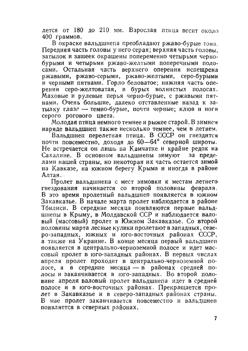 Охота на вальдшнепа | В. Е.  Герман