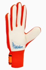 Вратарские перчатки Reusch Attrakt Starter Grip - Оранжевый