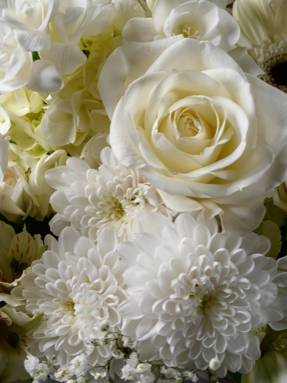 Символ чистоты *