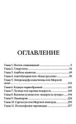 Стихийный мир-2. Морской эмир