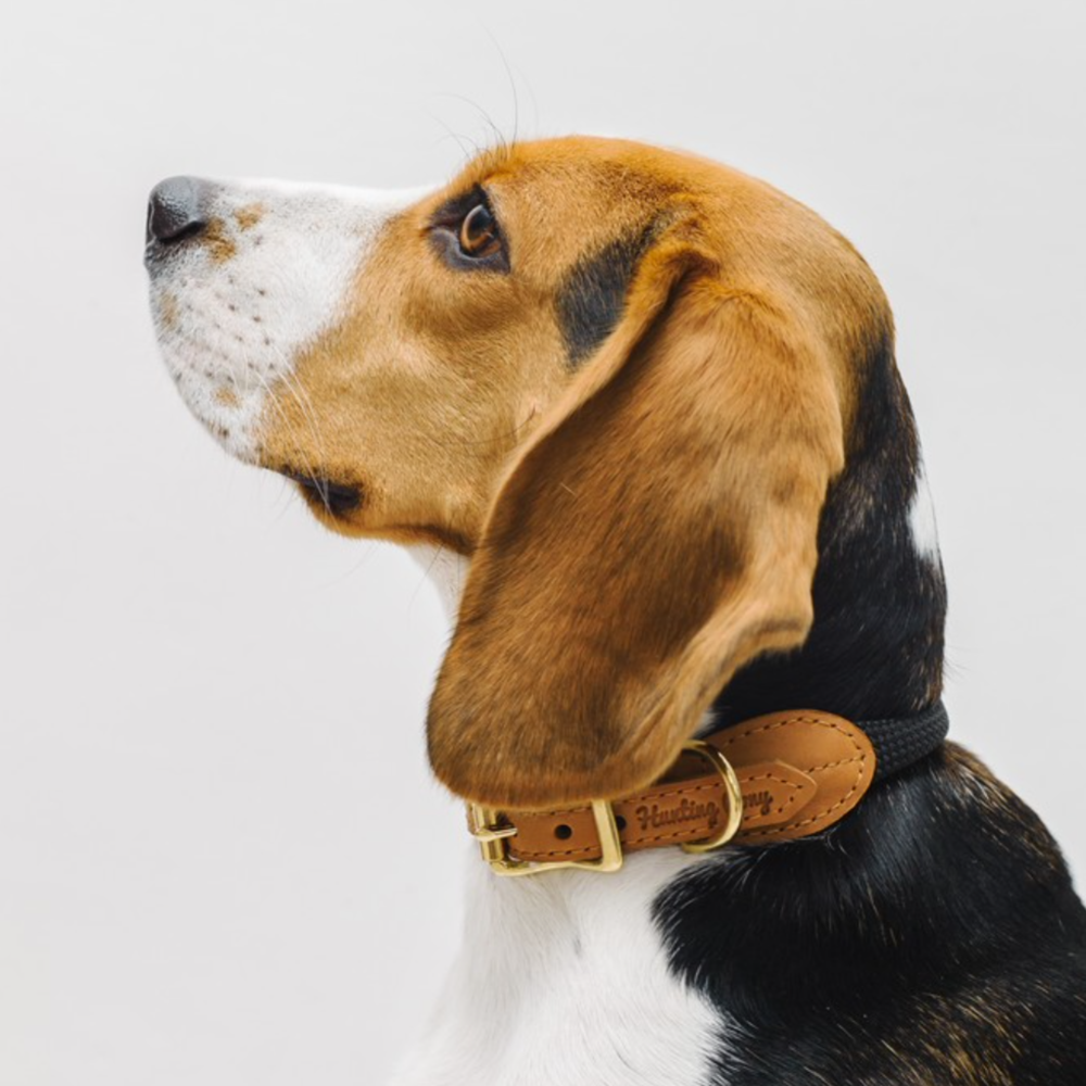 Ошейник «Пони-макарони» HuntingPony