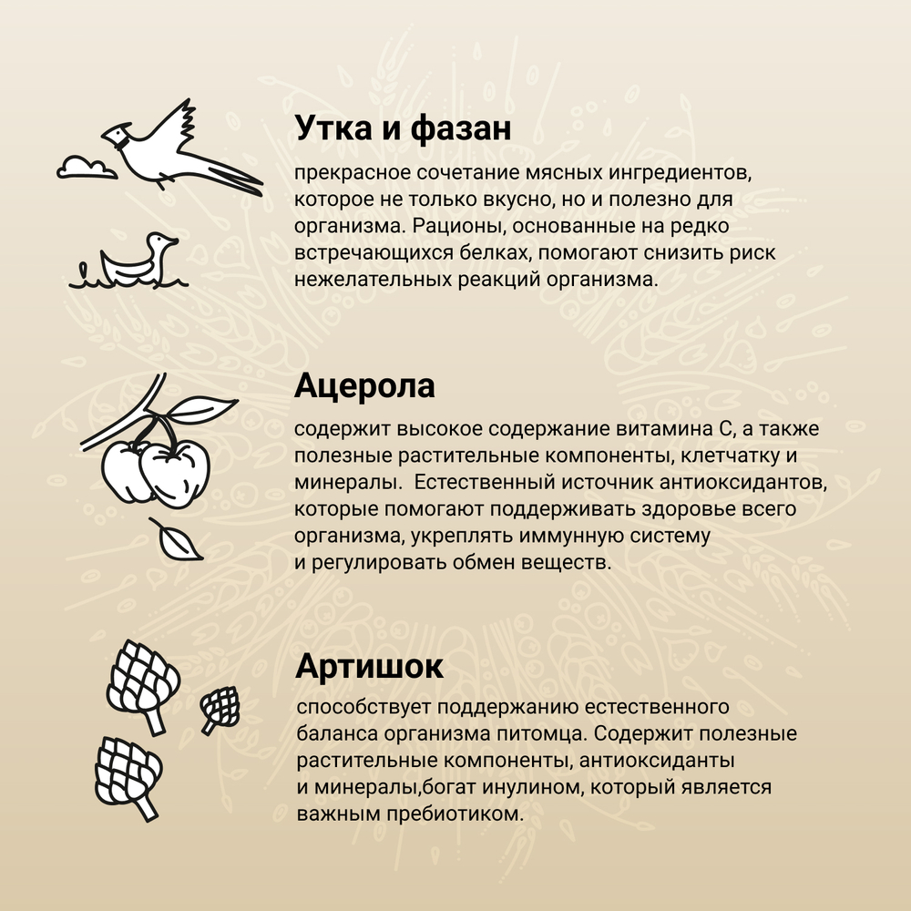 CRAFTIA NATURA Сухой корм для взрослых собак миниатюрных и мелких пород из утки с фазаном 640 г
