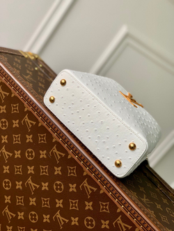 Louis Vuitton Capucines Mini