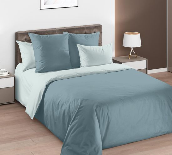 Евро комплект постельного белья Эхинацея зеленая перкаль