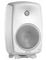 Genelec 8050BWM