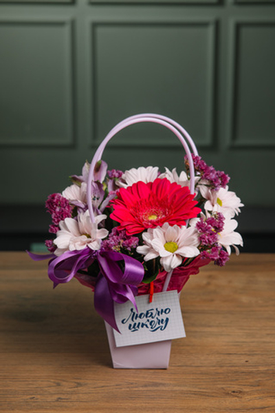 Сумочка школьная №2