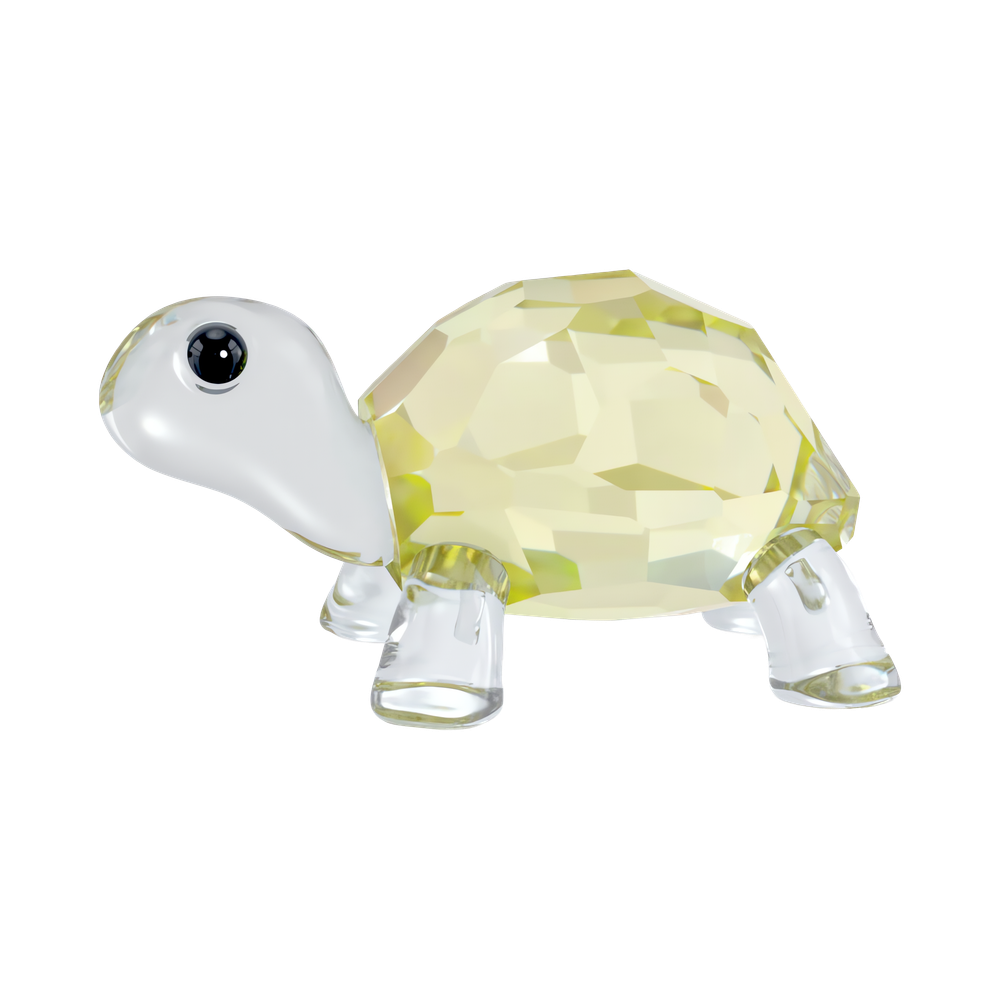 IDYLLIA:BABY TORTOISE