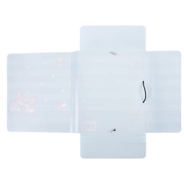 Папка на резинке A4 LRF-06 450 мкм 35 мм, песок, 5 шт, 04-Корги, Лео LRF-06