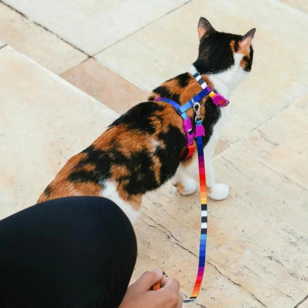Шлейка+поводок PRISMA Zee.Cat