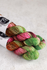 пряжа "Амазилия" Big Sock Stu