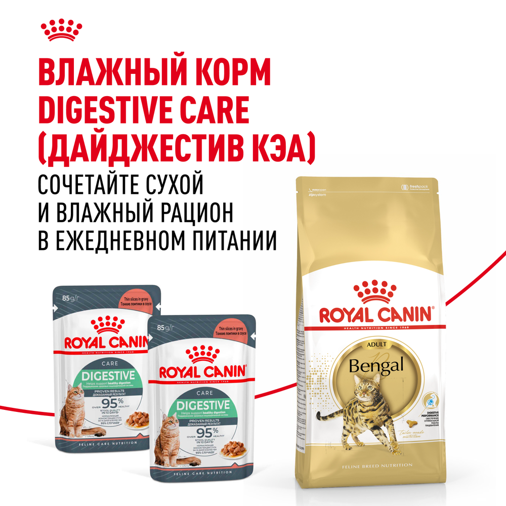 Royal Canin Bengal Adult Корм сухой сбалансированный для взрослых бенгальских кошек старше 12 месяцев 2 кг