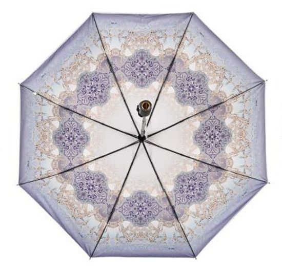 Зонт с серебристым куполом Рисунок внутри 255-В-02