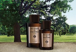 Acqua di Parma Colonia Quercia