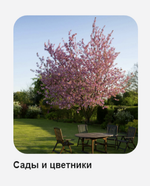 Клубный дом "AURA" Бизнес-класс г. Калининград, ул. Ватутина