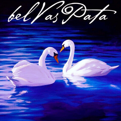 Вебинары по направлениям Белваспата