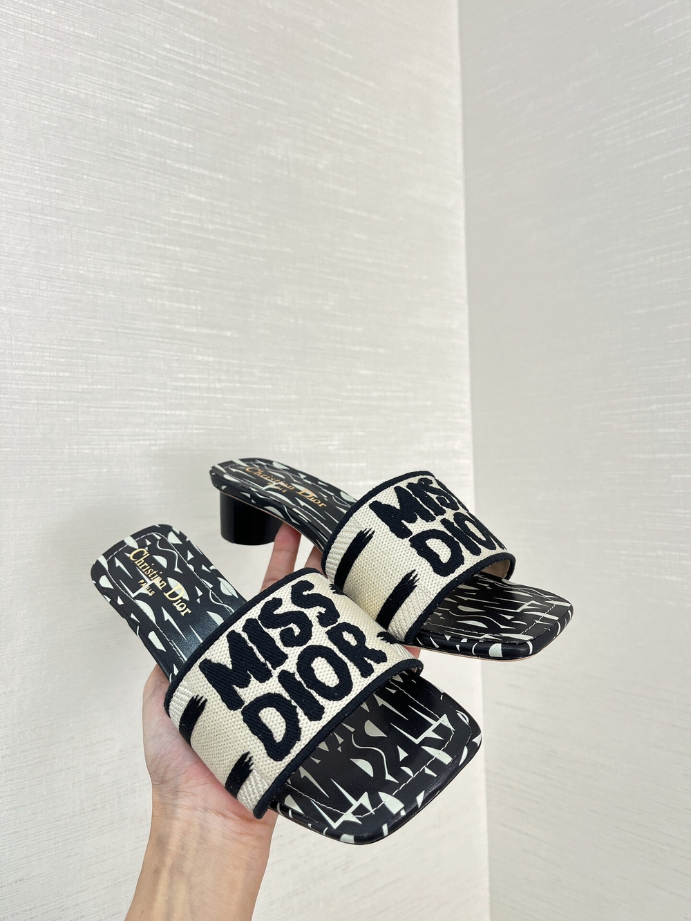 Christian Dior Dway Slide (11 colors)