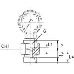 Штуцер DS12 BSP1/2"