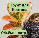 Грунт для Кротона 1 л ,1 литр грунта для Кротона универсальный