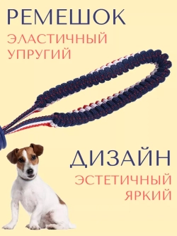 Прочная игрушка-мяч для собак средних-мелких пород