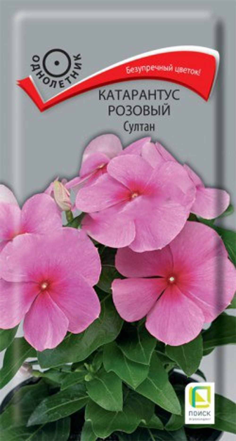 Катарантус розовый Султан  0,1гр Поиск