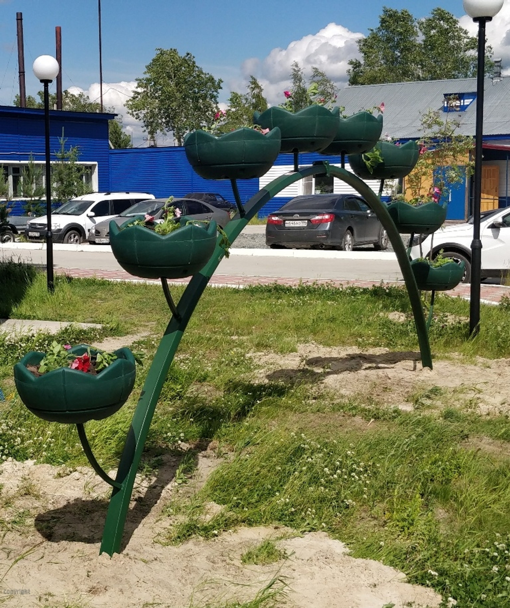 Арка Сингл-1
