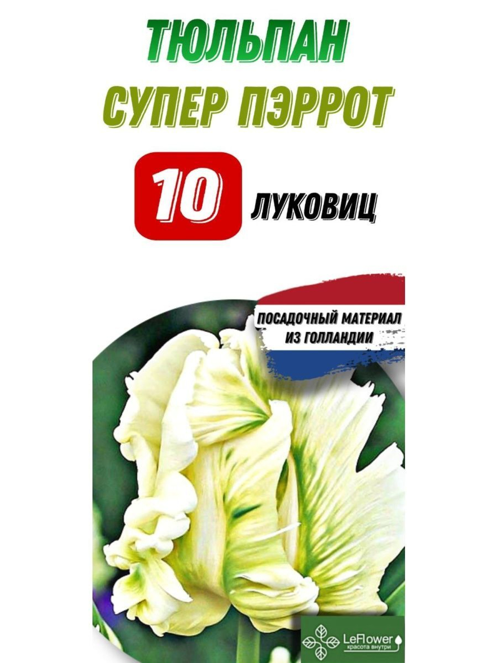 Тюльпан Луковица, Супер Пэррот, 10шт