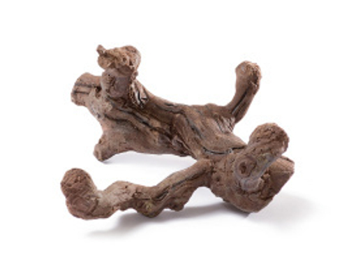 Коряга тёмно-коричневая